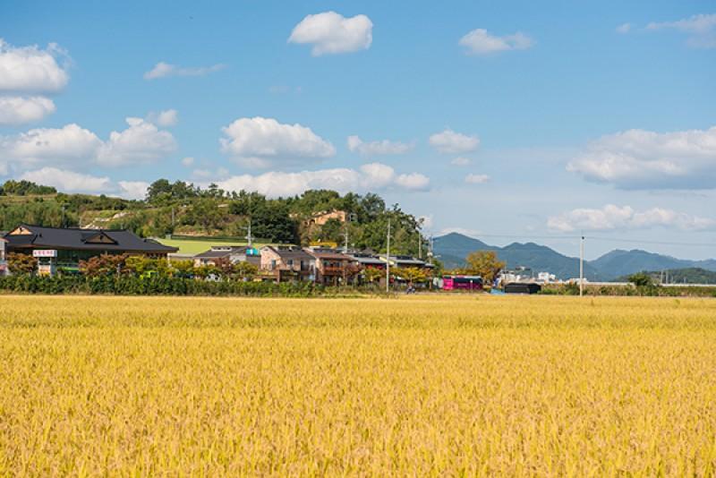 숙소 시설