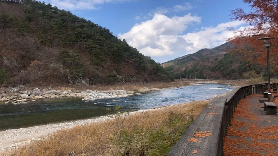 전경