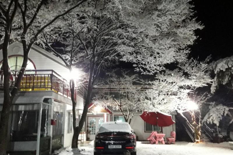 Gapyeong Flower Muji Pension (near the valley)-92