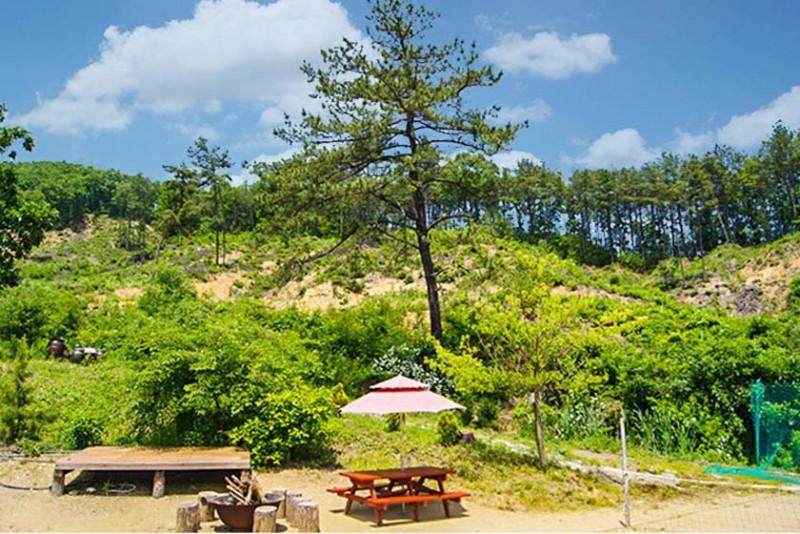 Yeoju Plum Scent Pension-17