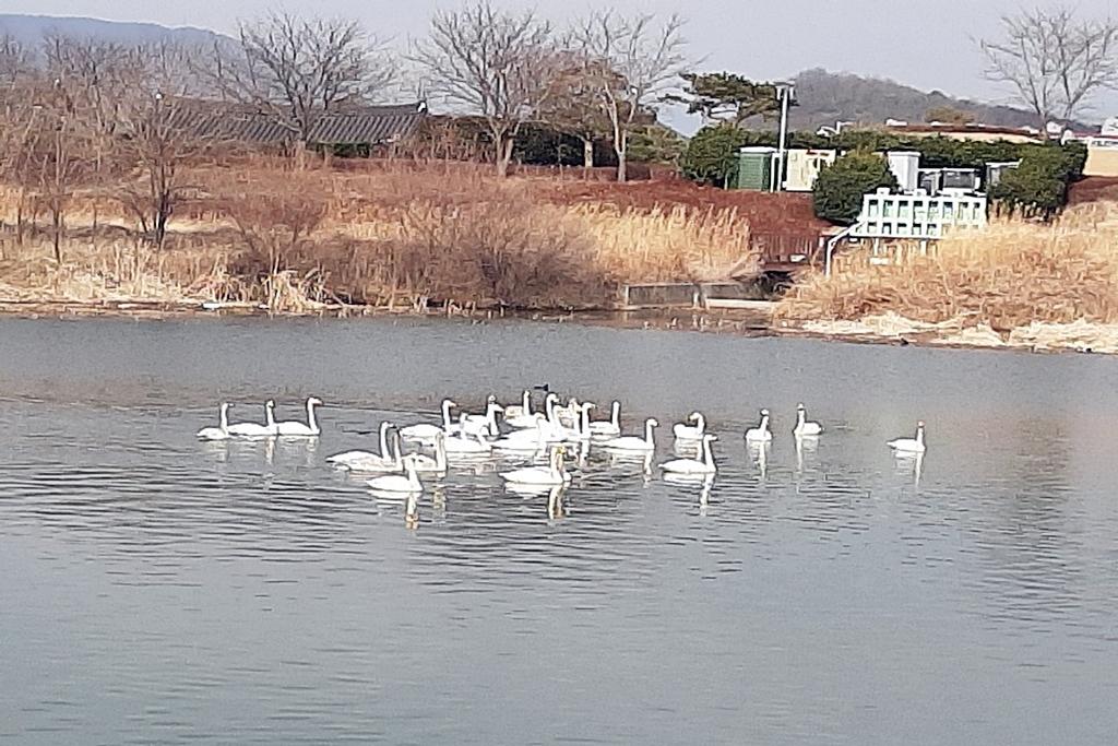 기타