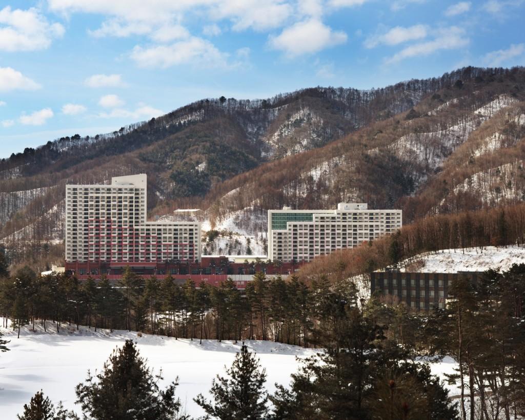 대표 사진