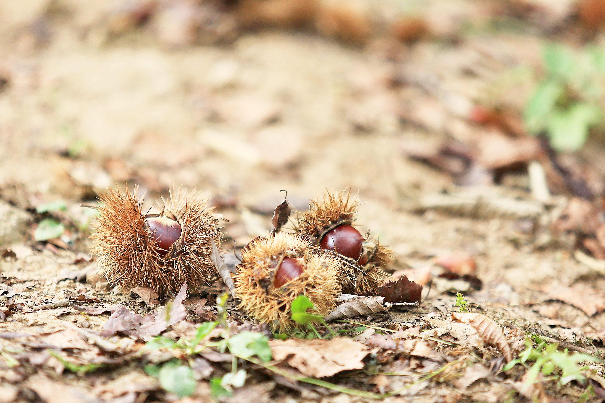 Pocheon Hill House-41