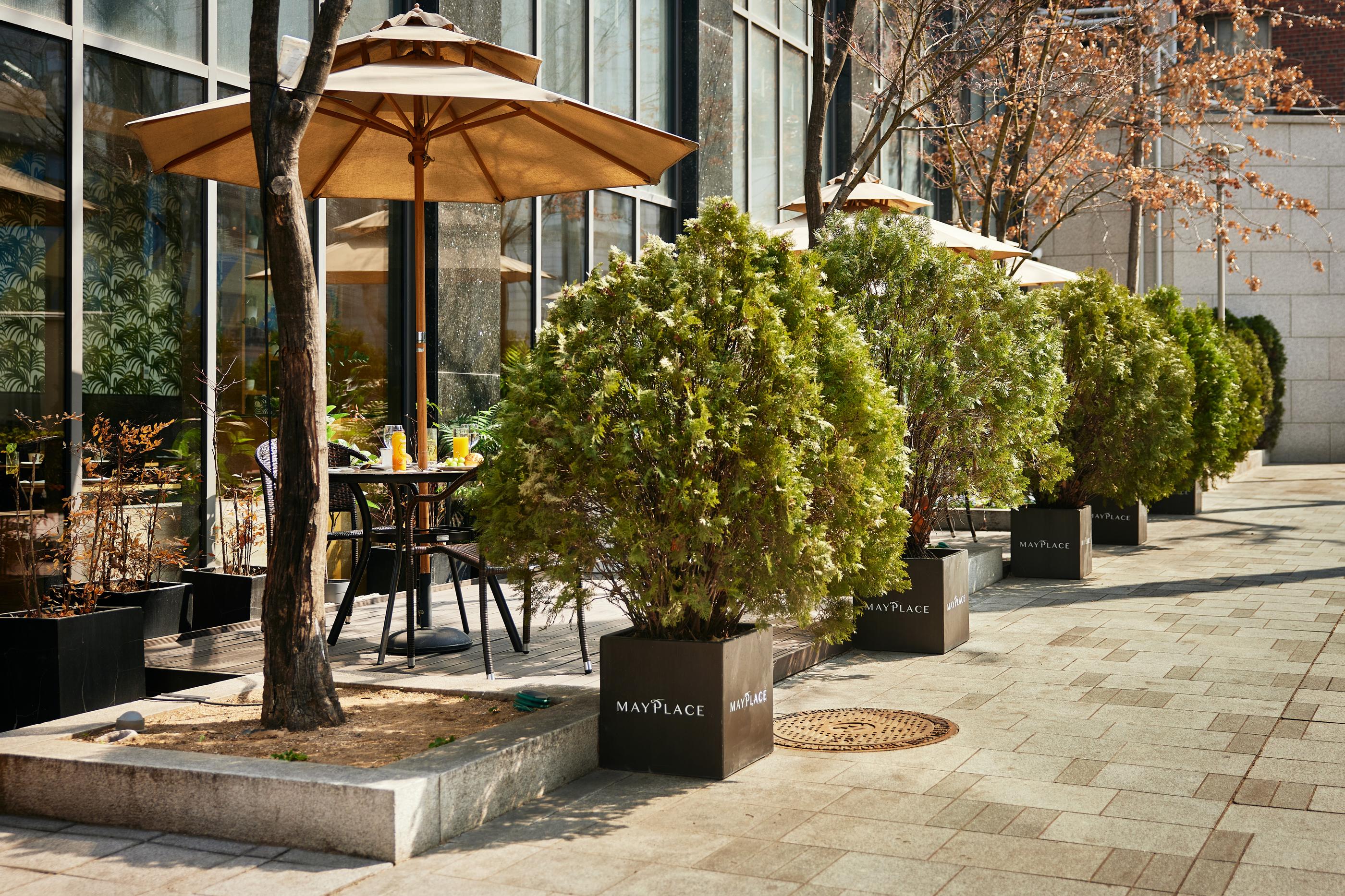 Hotel Mayplace Seoul-4