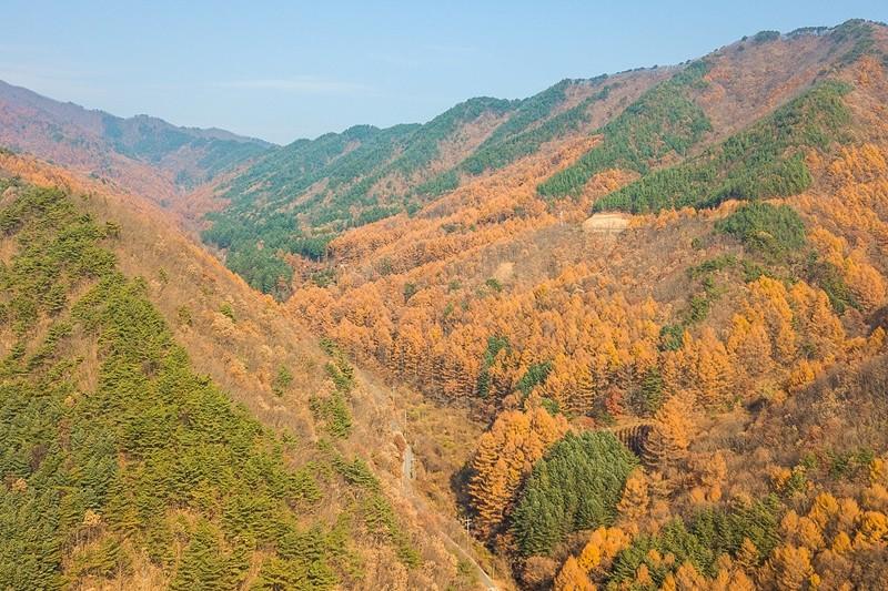 숙소 시설