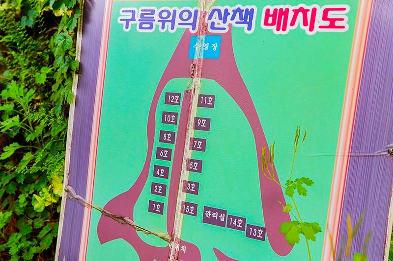 대표 사진