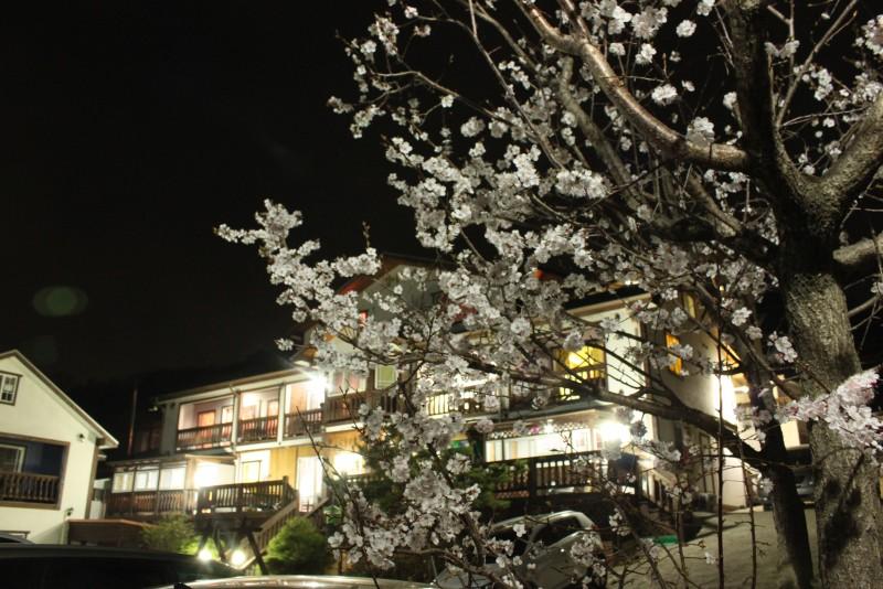 Gyeongju Star Story Pension