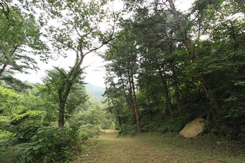 숙소 시설
