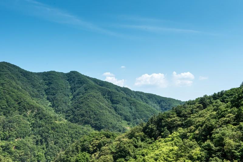 Spa pension in the forest of Gapyeong-6