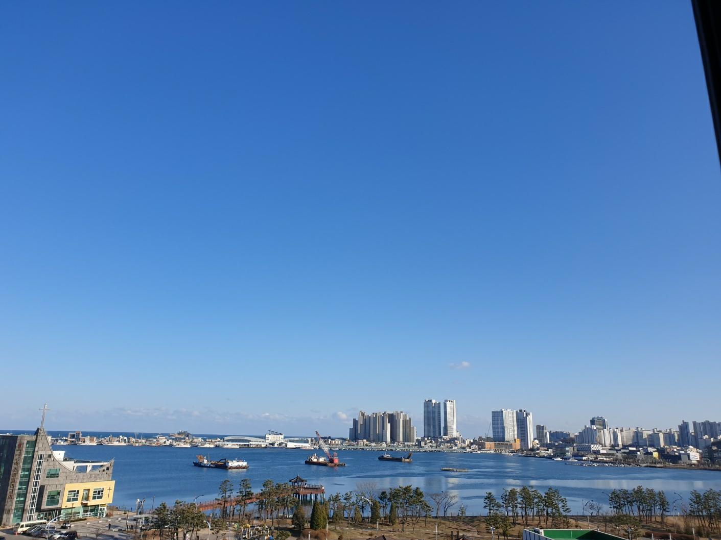 대표 사진