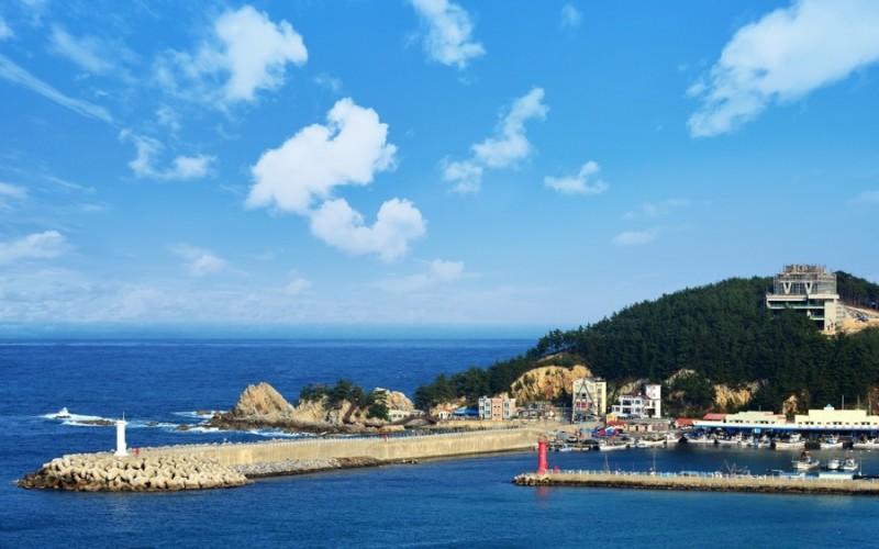 대표 사진