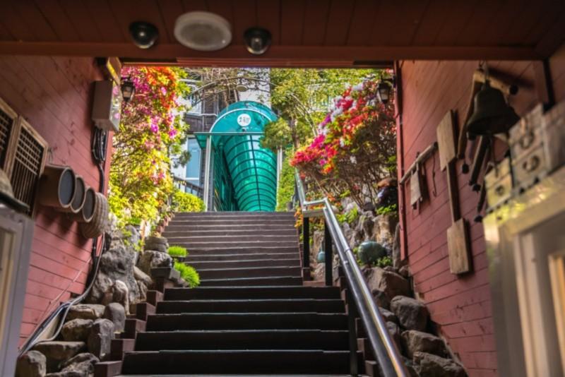 Ganghwado Green Star Pension-44