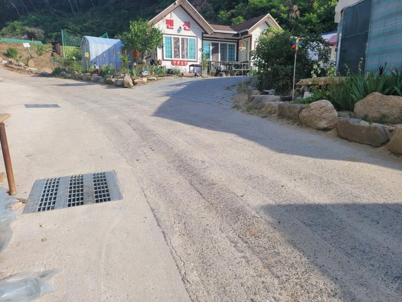 대표 사진