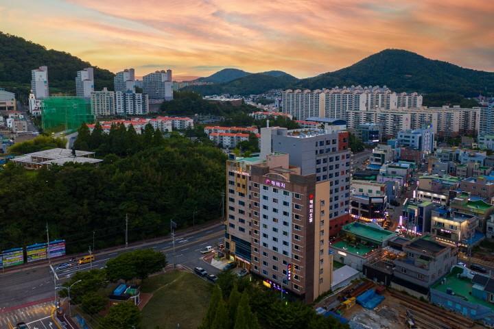 대표 사진