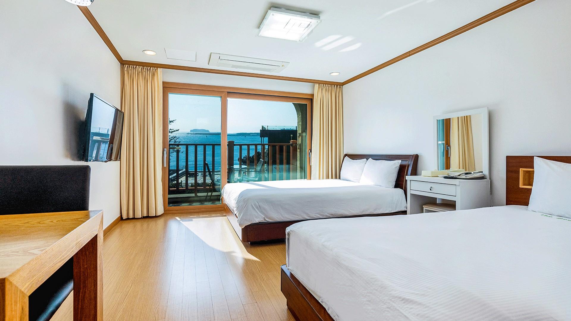 스카이 디럭스 트윈