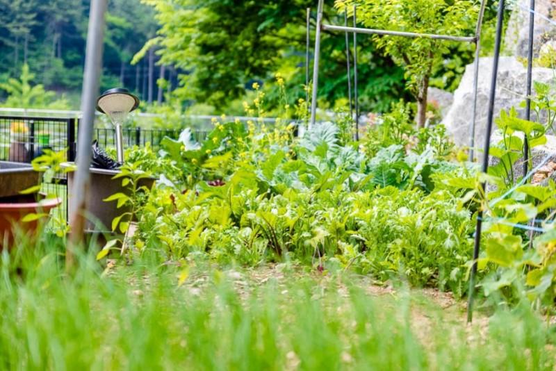 Yangpyeong Vivaldi Unshared House Pension-41