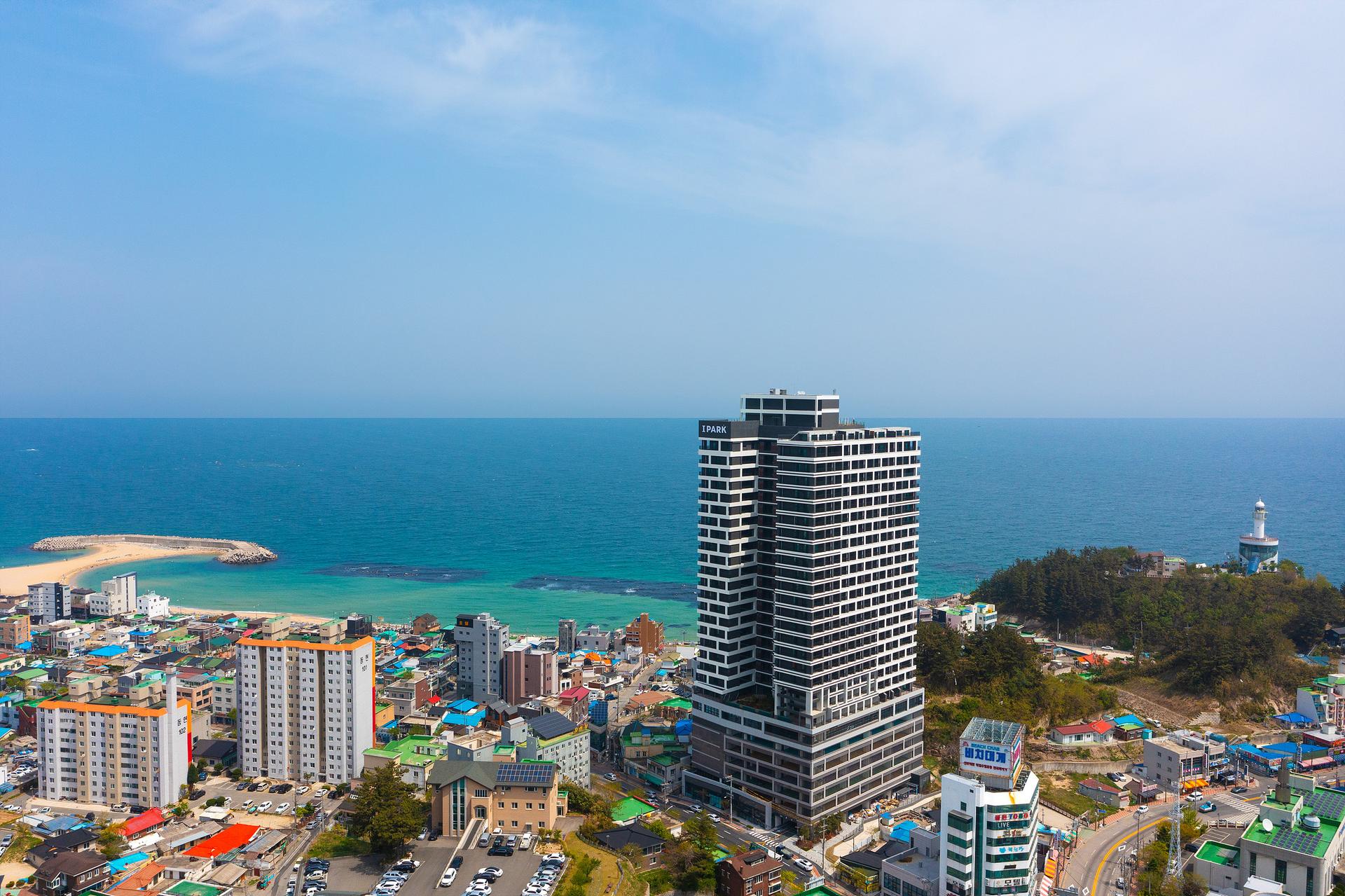 대표 사진