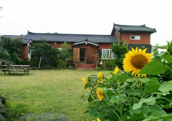 Seogwipo Nameless Artist's Guest House