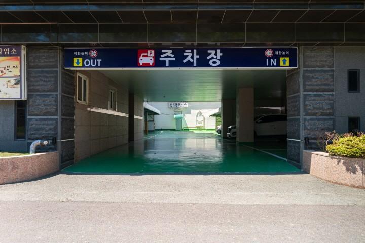 대표 사진