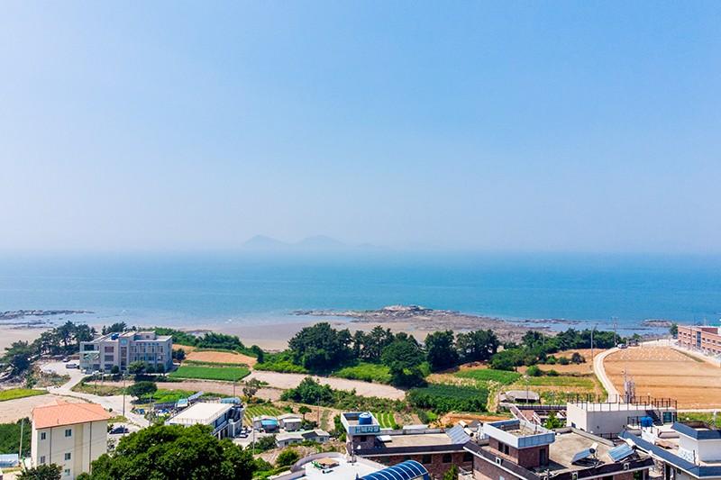 대표 사진