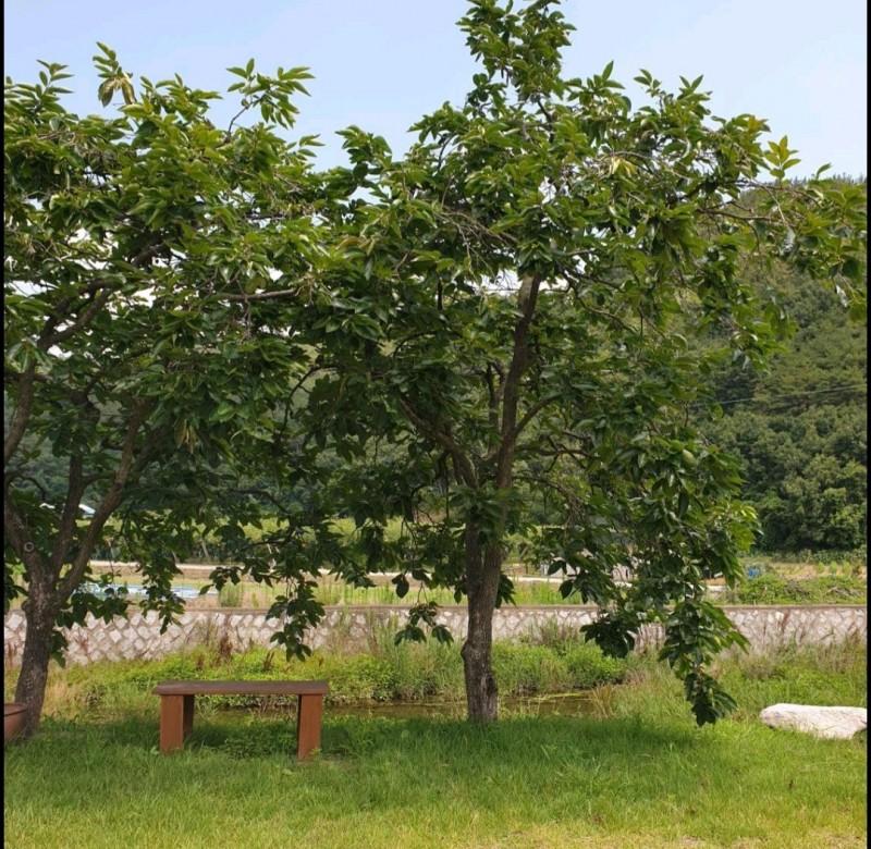 숙소 시설