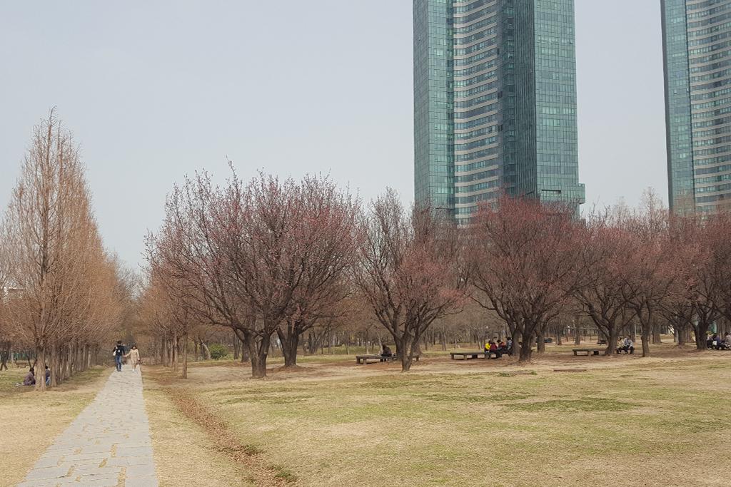 Seoul Forest Stay-94