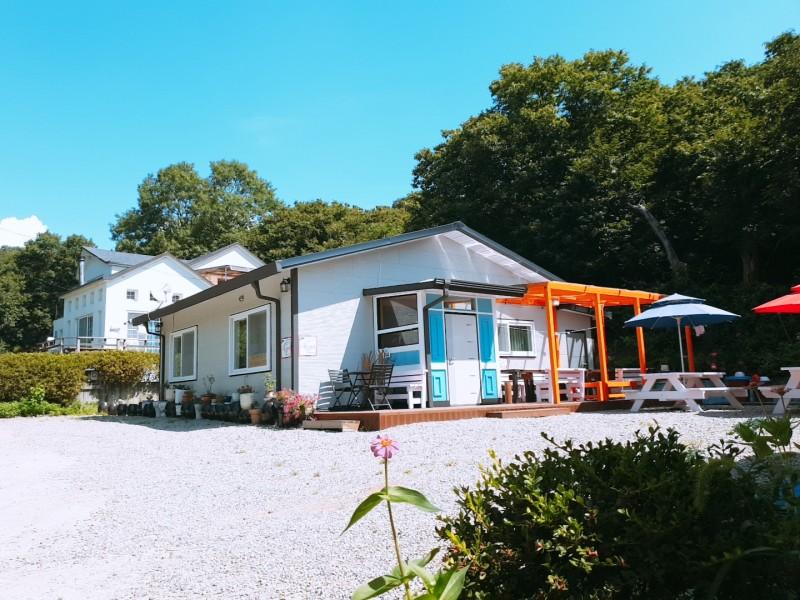 Paju Pine Tree Pension