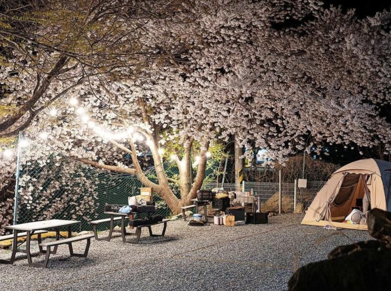 Cheongdo Doldam House Pension