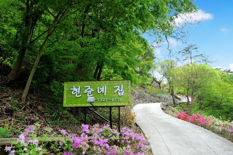 대표 사진