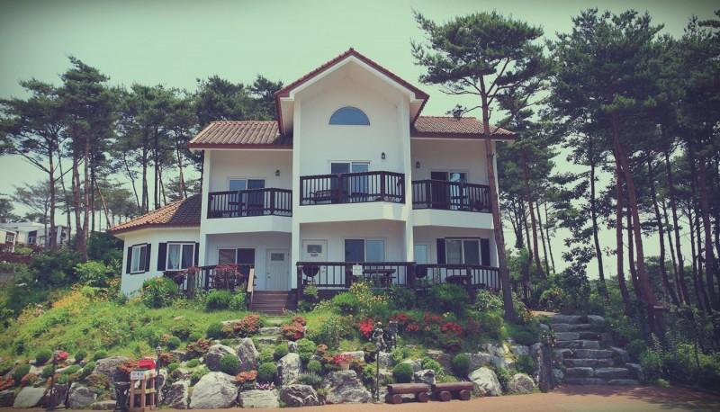 대표 사진