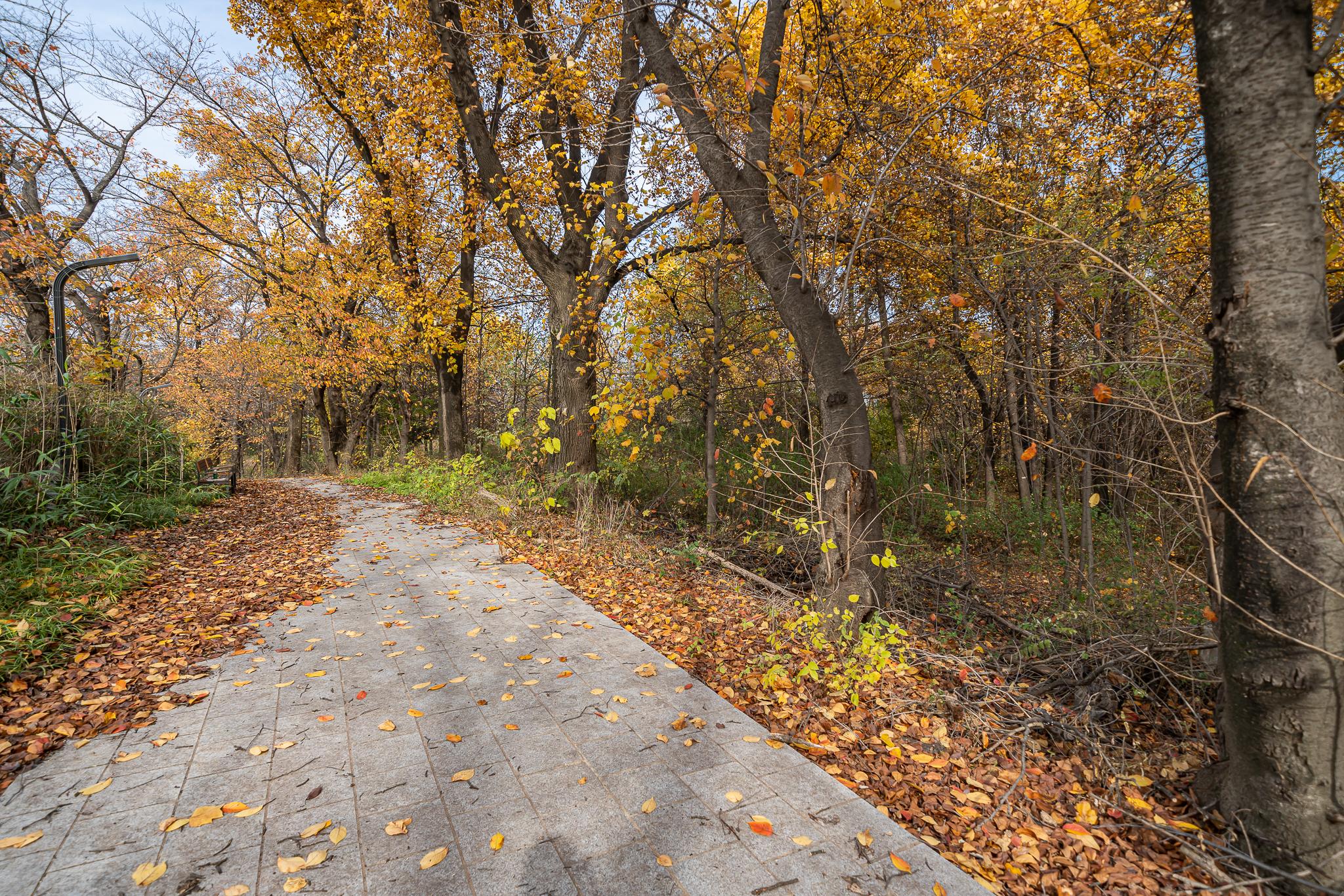 Osan Studio 9 Self check-in Motel-17