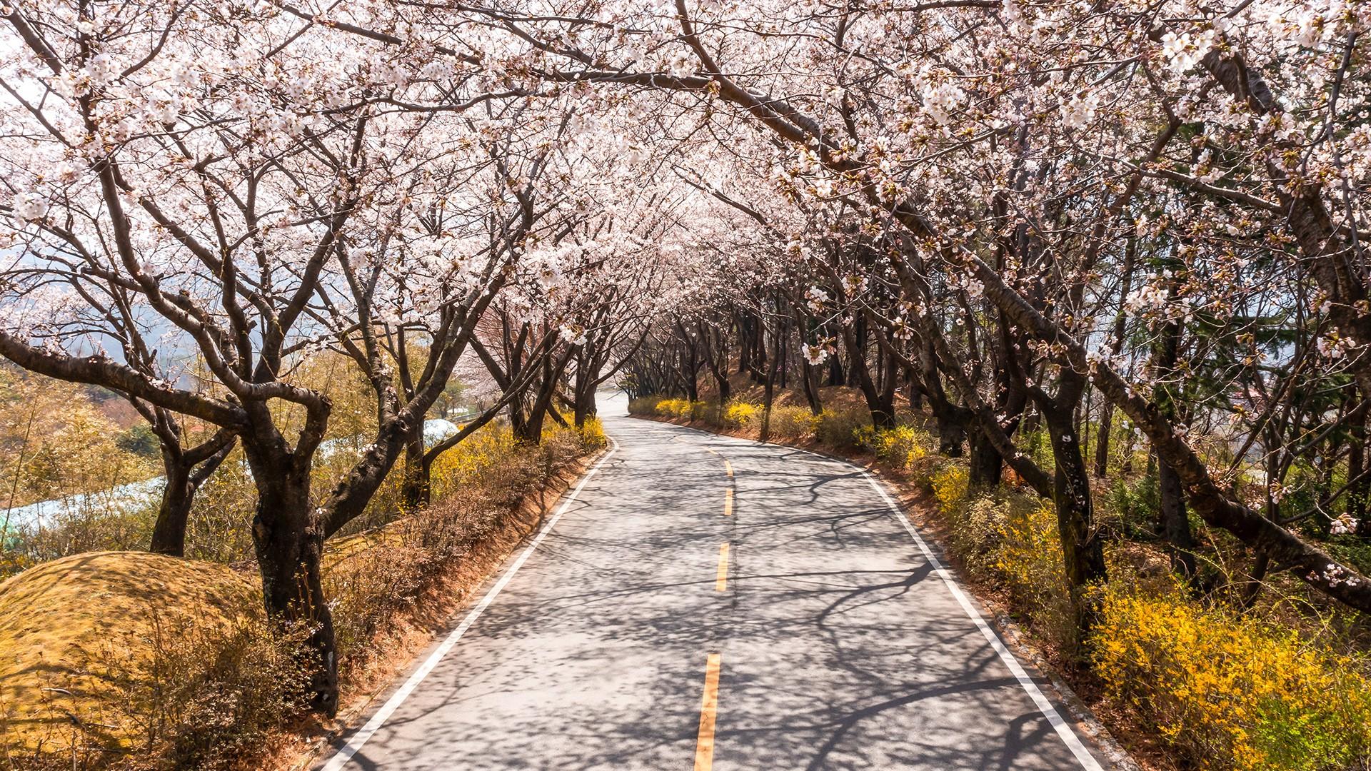 전경