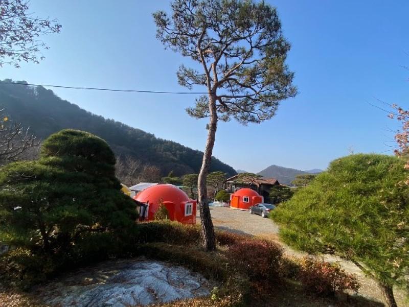 Yangpyeong Omni Dome Glamping-15