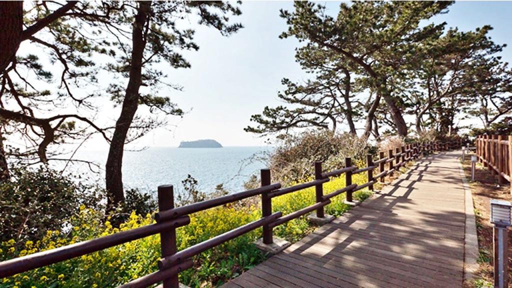 대표 사진
