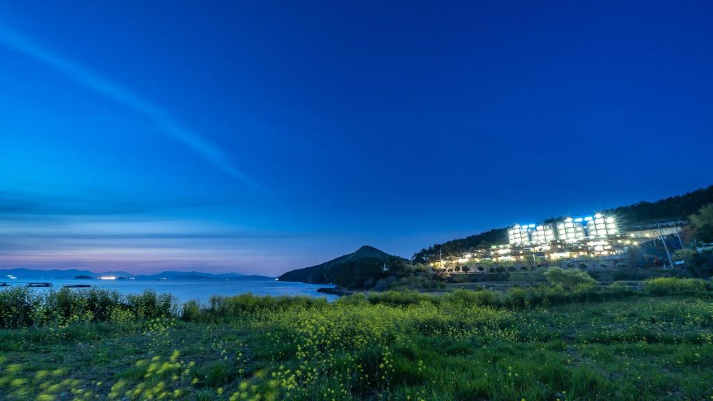 대표 사진
