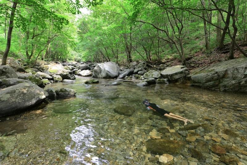 Gapyeong Lavender Pension-28