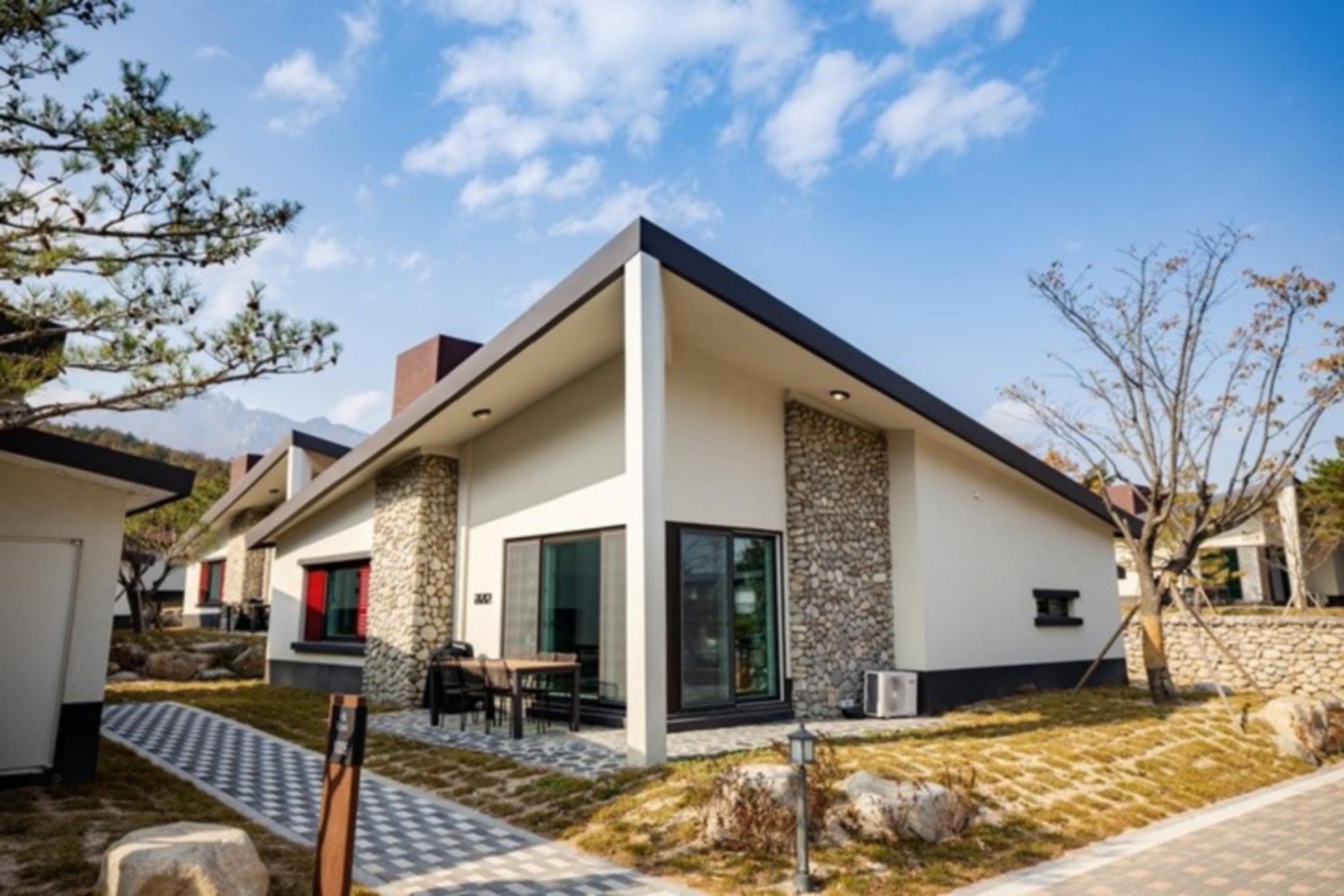 대표 사진