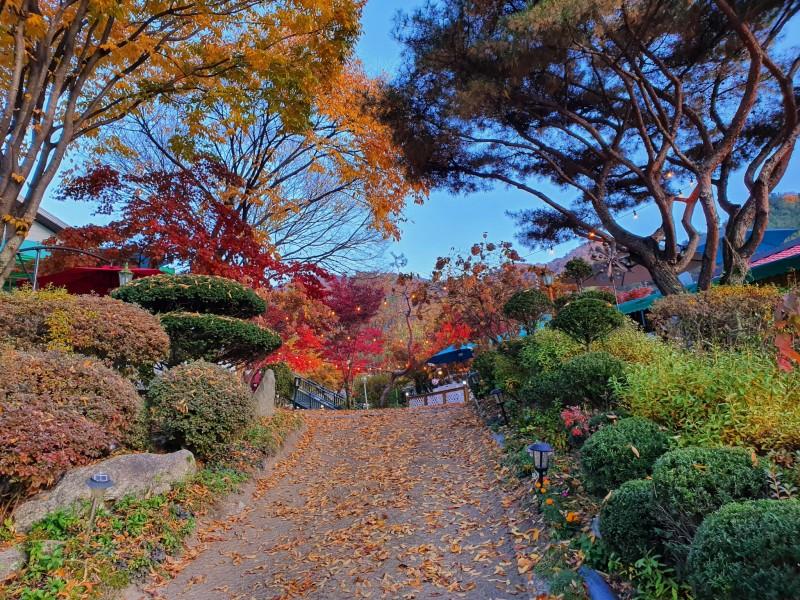 Gapyeong Flower Muji Pension (near the valley)-50