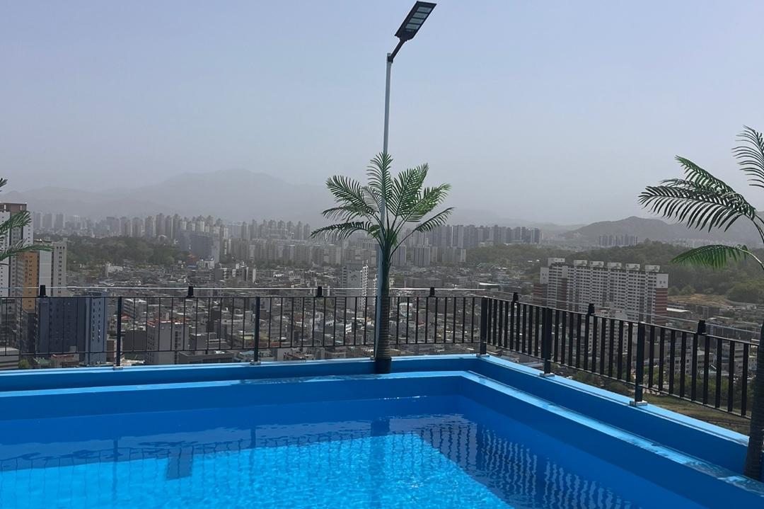 대표 사진