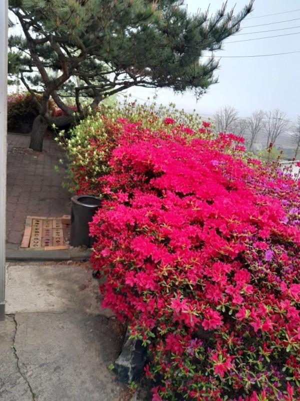 숙소 시설