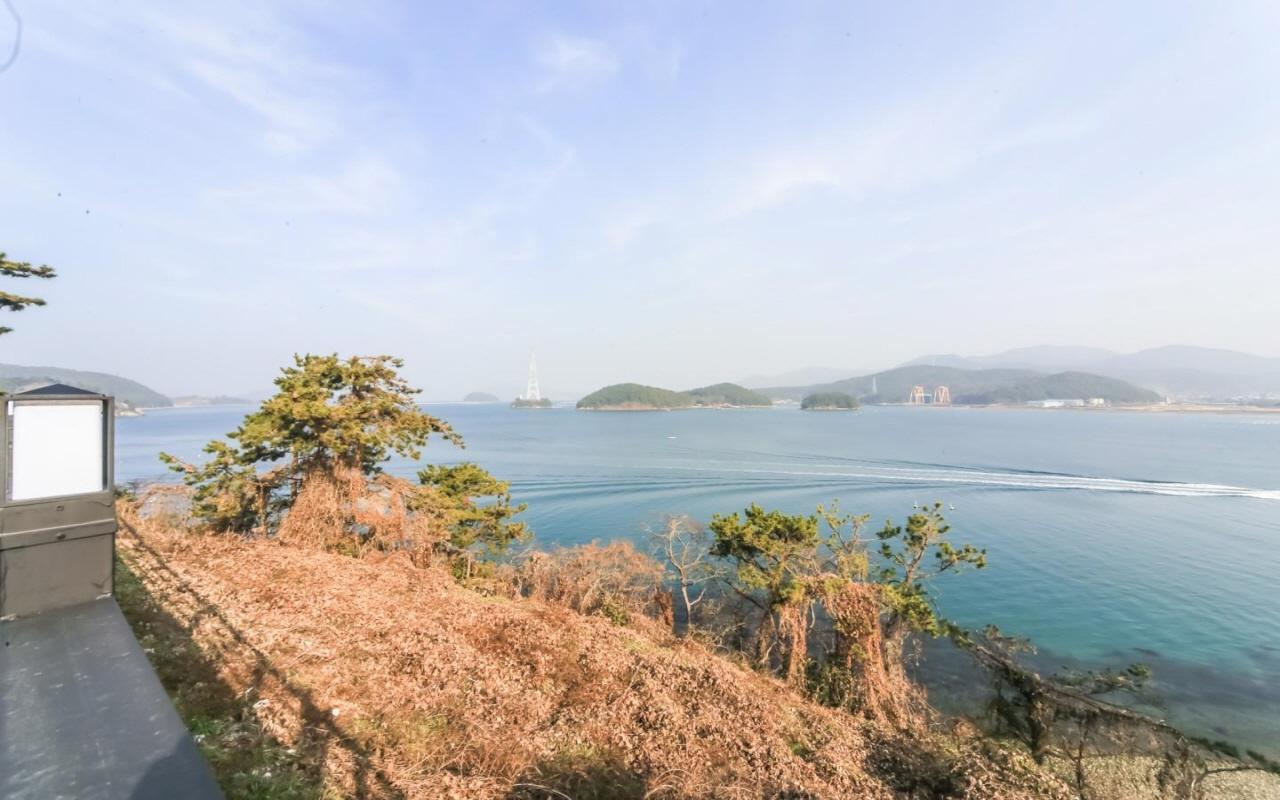 대표 사진