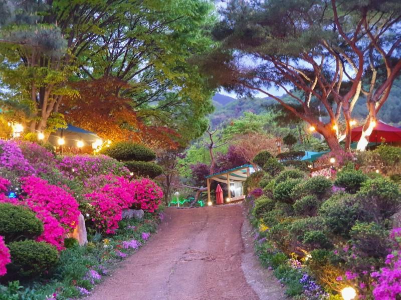 Gapyeong Flower Muji Pension (near the valley)-52