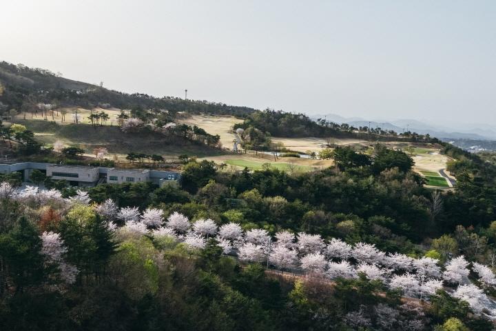 대표 사진