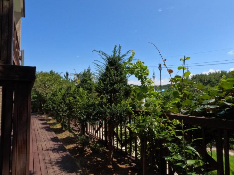 Eulwangri Leeum Pension-11