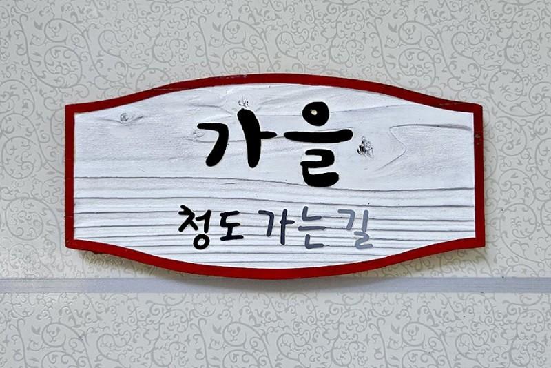대표 사진