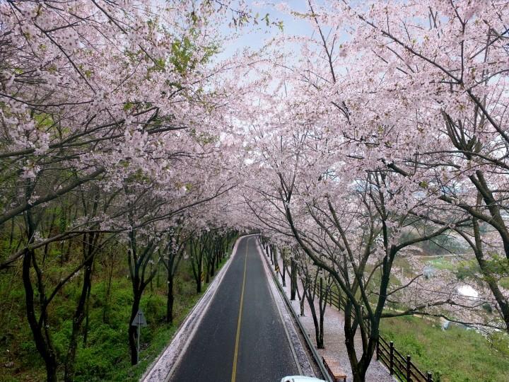 대표 사진