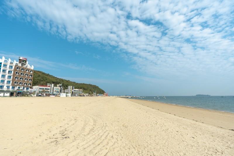 대표 사진