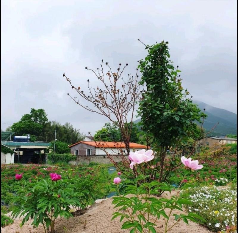 숙소 시설