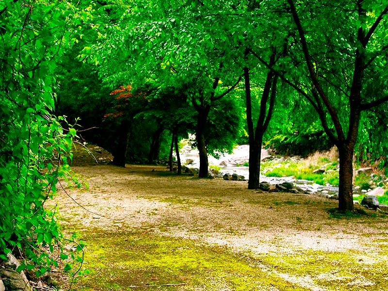 Gapyeong Purun Valley Pension-30