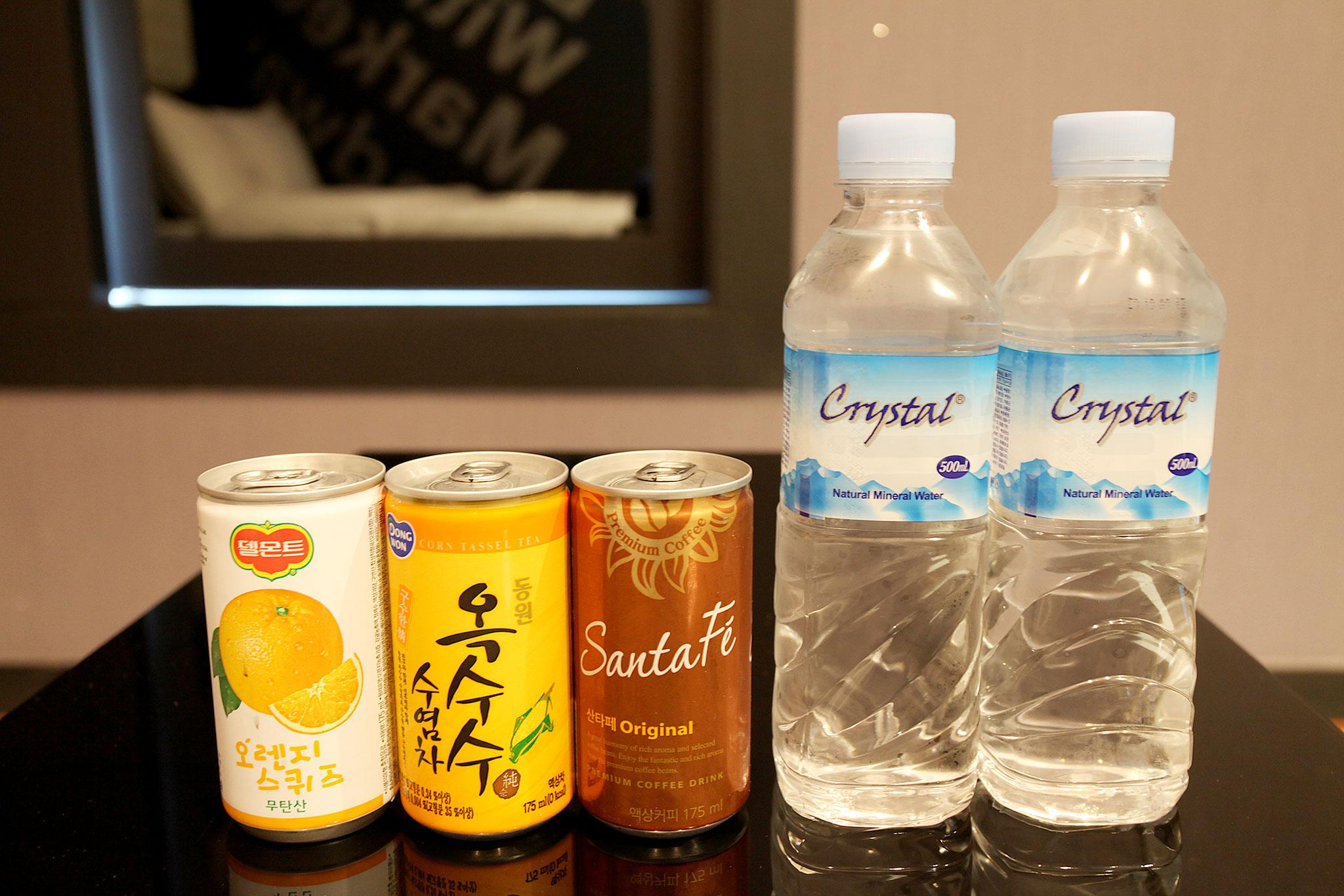 Incheon (Songdo) Friends-31